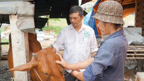 Giữ vai trò phòng dịch, các trạm thú y liệu có còn?