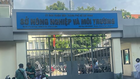 TP.HCM khẩn trương giải quyết thủ tục hành chính đất đai cấp xã