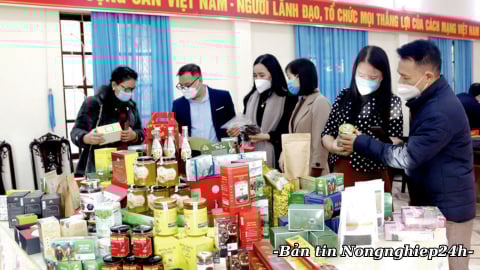 Quy trình đánh giá phân hạng sản phẩm OCOP được chia thành 2 cấp