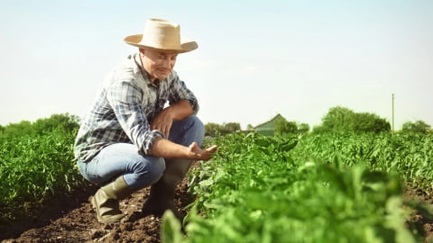 Anh ra mắt mô hình nông nghiệp tuần hoàn giúp giải quyết nông sản dư thừa
