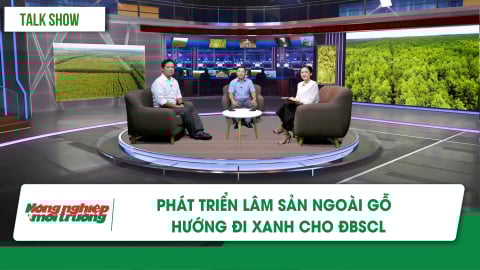 Phát triển lâm sản ngoài gỗ – hướng đi xanh cho ĐBSCL