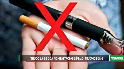 Thuốc lá đe dọa nghiêm trọng đến môi trường sống