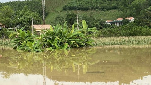 Cảnh báo lũ trên các sông ở Bắc Bộ