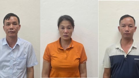 Khởi tố Giám đốc Công ty lâm nghiệp Hoành Bồ