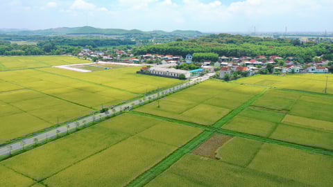 Đề xuất mức thu mới khi chuyển đất nông nghiệp sang đất ở