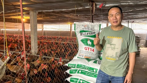 Trang trại chăn nuôi an toàn sinh học của chủ đại lý cám tại Phú Thọ