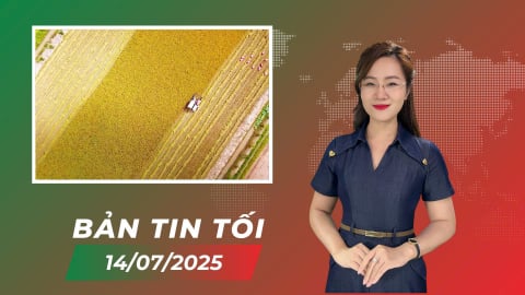 Đề án 1 triệu ha lúa chất lượng cao là niềm tự hào của Việt Nam