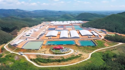 Quảng Ninh khuyến khích nhà đầu tư xây dựng trang trại quy mô lớn