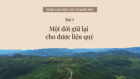 Một đời giữ lại cho dược liệu quý