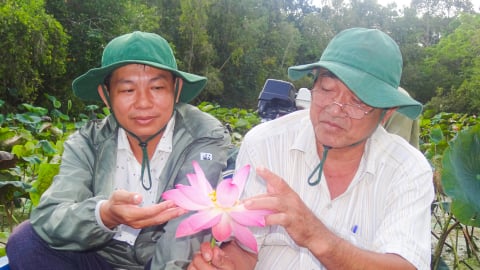 Bảo tồn đa dạng sinh học tại Khu Bảo tồn thiên nhiên Lung Ngọc Hoàng