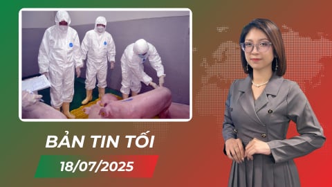 Thủ tướng yêu cầu quyết liệt phòng,chống dịch tả lợn Châu Phi