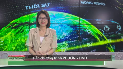 Bản tin Truyền hình Nông nghiệp và Môi trường 29/2025 (số 416)