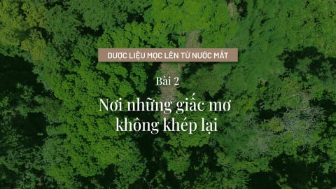 Nơi những giấc mơ không khép lại