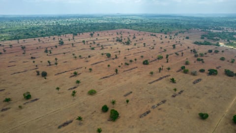 Brazil nới lỏng cấp phép môi trường trước thềm COP30