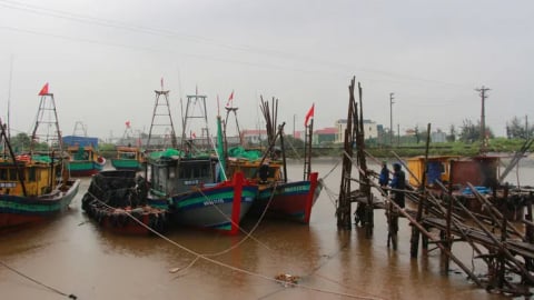 Ninh Bình cấm biển từ ngày 21/7, tạm dừng hoạt động các tuyến đò