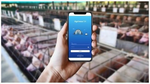Kiểm soát dịch bệnh trong chăn nuôi nhỏ để hiện đại hóa chăn nuôi