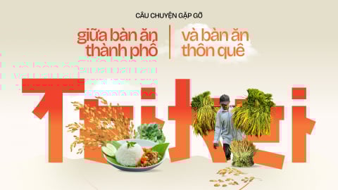 Câu chuyện gặp gỡ - Giữa bàn ăn thành phố và bàn ăn thôn quê