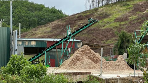 Yêu cầu dừng hoạt động cơ sở chế biến lâm sản vi phạm sử dụng đất