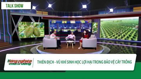Thiên địch - vũ khí sinh học lợi hại bảo vệ cây trồng