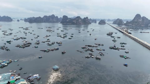 Quảng Ninh nghiên cứu lắp đặt thiết bị cảnh báo dông, lốc trên vịnh