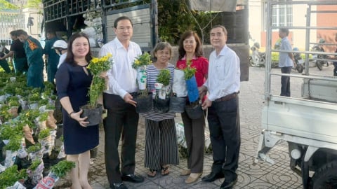 Bí thư phường Vũng Tàu trao tặng 2.000 cây xanh làm đẹp các khu phố