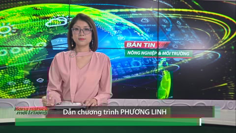 Bản tin Truyền hình Nông nghiệp và Môi trường số 31/2025 (số 418)
