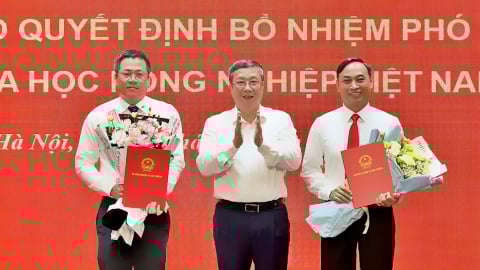 Viện Khoa học Nông nghiệp Việt Nam có 2 tân phó giám đốc