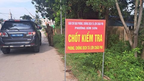 Thanh Hóa lập 39 chốt kiểm dịch bệnh tả lợn Châu Phi