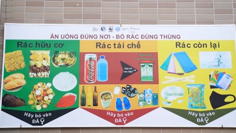 Phân loại rác tại nguồn: Từ bị động đến ý thức toàn dân