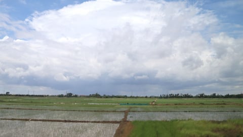Mưa mát, nền nhiệt miền Bắc giảm rõ rệt