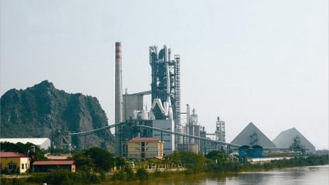 VICEM chủ động sáng tạo trong hành trình số hóa