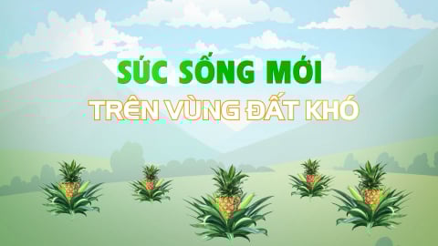 Sức sống mới trên vùng đất khó