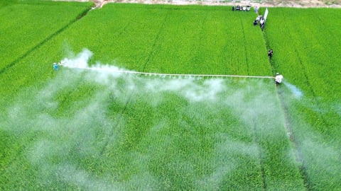 Tiêu chí môi trường để được hưởng chính sách ưu đãi tín dụng xanh