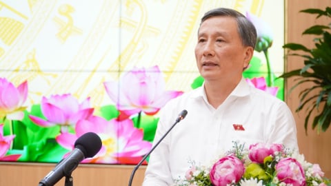 Cần Thơ cần nâng cao hiệu quả thực thi pháp luật bảo vệ môi trường