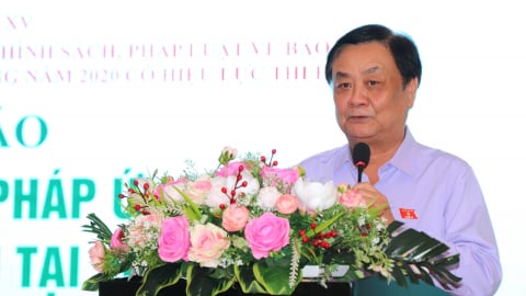 Tầm nhìn, sứ mệnh và chiến lược mới ứng phó biến đổi khí hậu