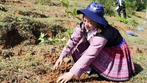 Góp lá vá rừng 2025: Chung tay phục hồi rừng phòng hộ Pha Luông