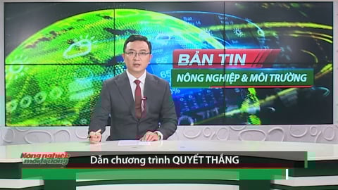 Bản tin Truyền hình Nông nghiệp và Môi trường số 32/2025 (số 419)