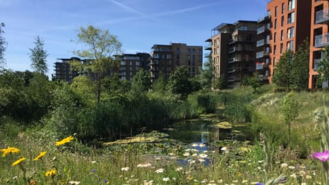 Kidbrooke Village: Mẫu hình hòa hợp giữa thiên nhiên và nhà ở