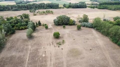 Hạn hán đe dọa sinh kế và nông nghiệp Hungary