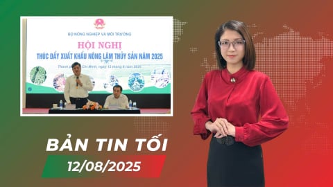 Xuất khẩu nông, lâm, thủy sản hướng tới 100 tỷ USD