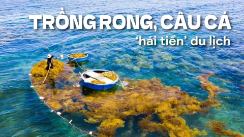 Trồng rong, câu cá, 'hái tiền' du lịch