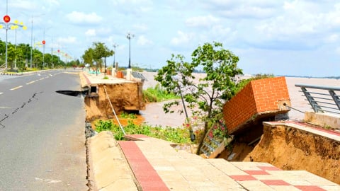 Nguy cơ mất an toàn bờ sông Tiền, Đồng Tháp tăng cường ứng phó