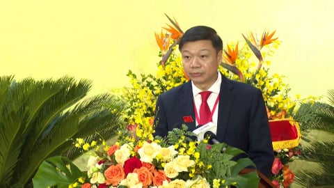 Tăng cường sự lãnh đạo của Đảng đối với công tác quản lý, phát triển rừng