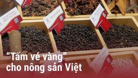 [Bài 3] UAE - Cửa ngõ giàu có và tiềm năng