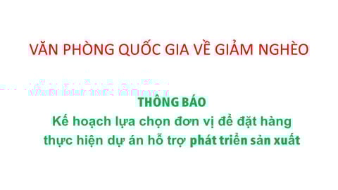 Kế hoạch lựa chọn đơn vị để đặt hàng thực hiện dự án hỗ trợ phát triển sản xuất