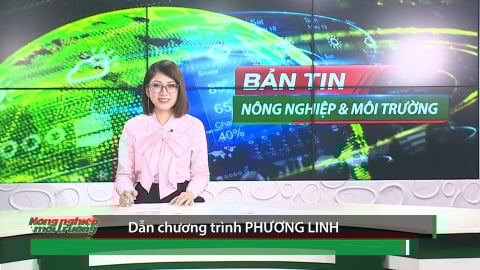 Bản tin Truyền hình Nông nghiệp và Môi trường số 33/2025 (số 420)