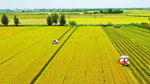 80 năm hoàn thiện thể chế, biến đất đai thành động lực phát triển bền vững