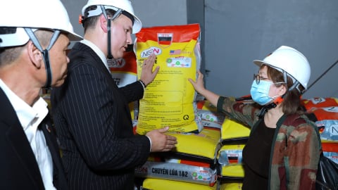 Đánh giá năng lực doanh nghiệp tham gia Dự án Sử dụng phân bón đúng
