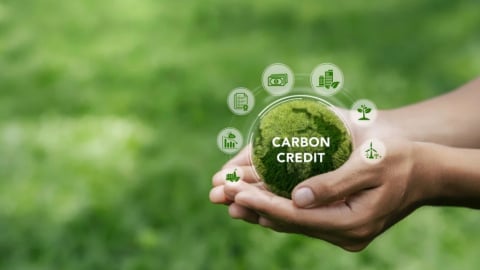 Công nghệ số và giải pháp thiên nhiên thúc đẩy tín chỉ carbon