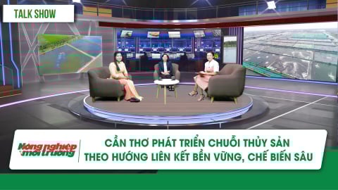 Phát triển chuỗi thủy sản theo hướng liên kết bền vững, chế biến sâu